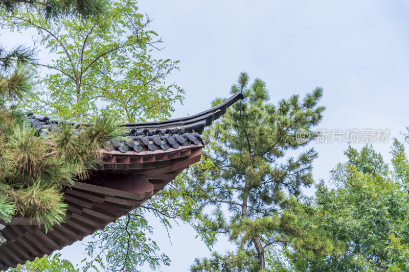 武汉武昌区黄鹤楼公园风景