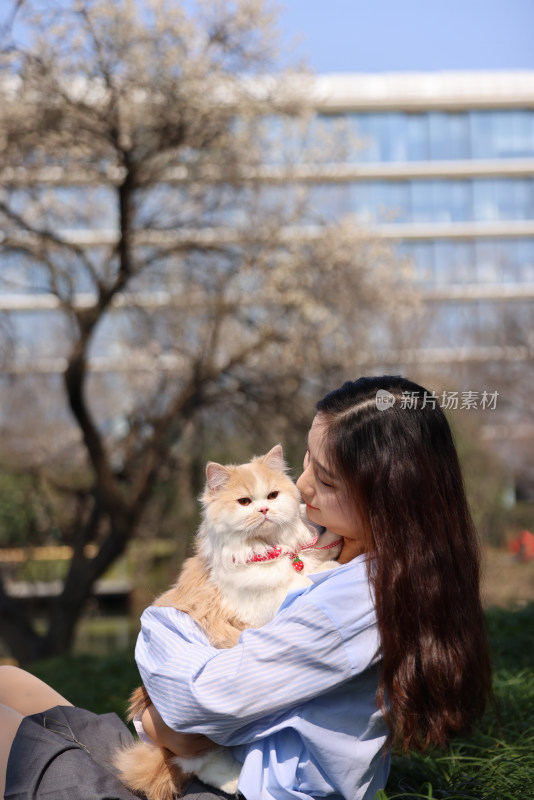 杭州阿里巴巴西溪园区美女与猫的温馨互动