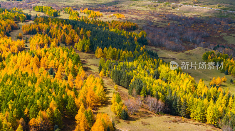 色彩斑斓的山林鸟瞰全景