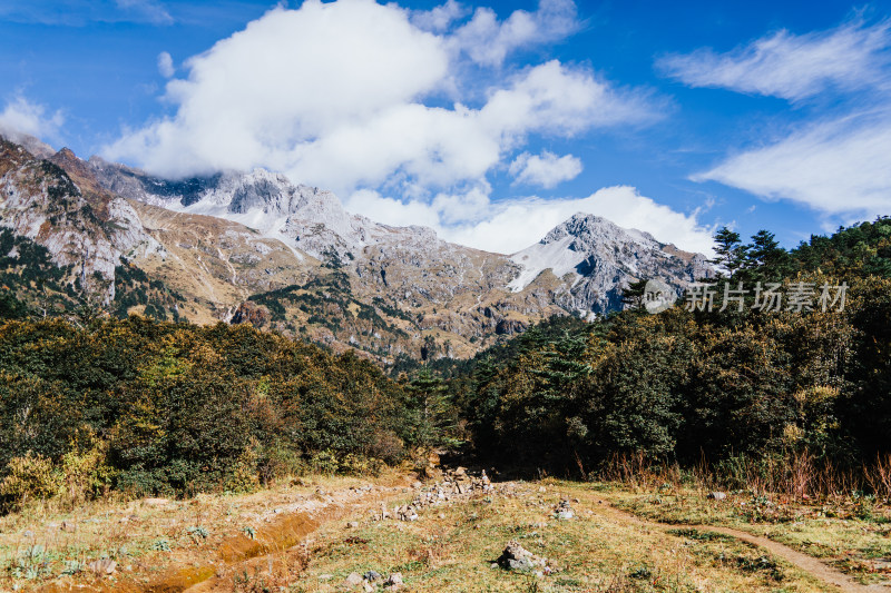 丽江玉龙雪山蚂蝗坝