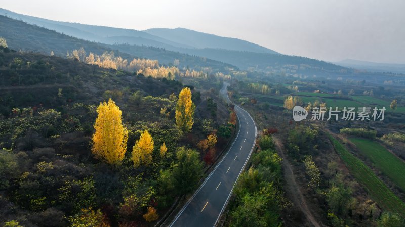 秋天乡村自然风景公路交通