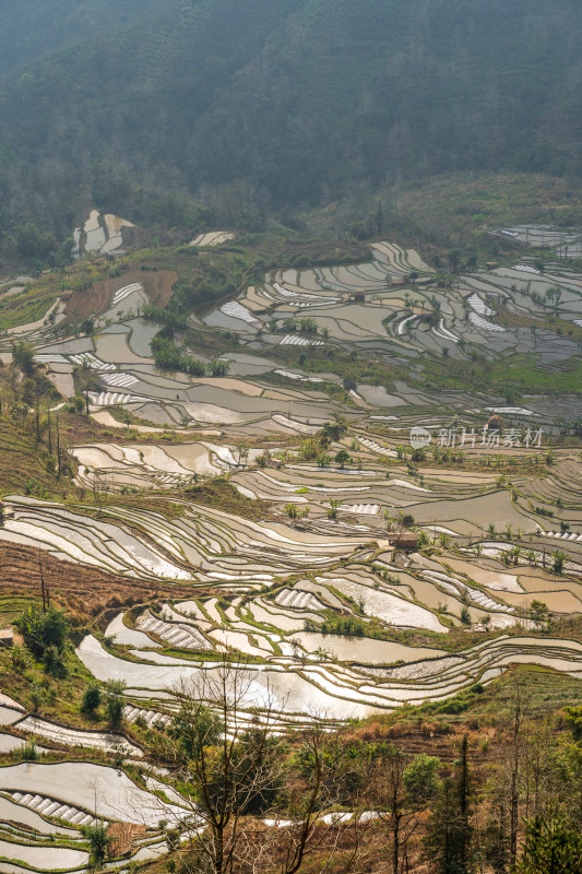 层层叠叠的元阳梯田景观