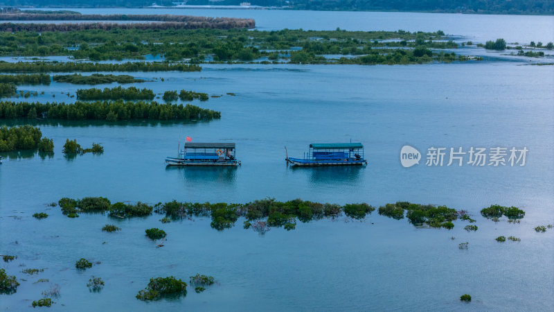 惠东县盐洲海洋湿地公园