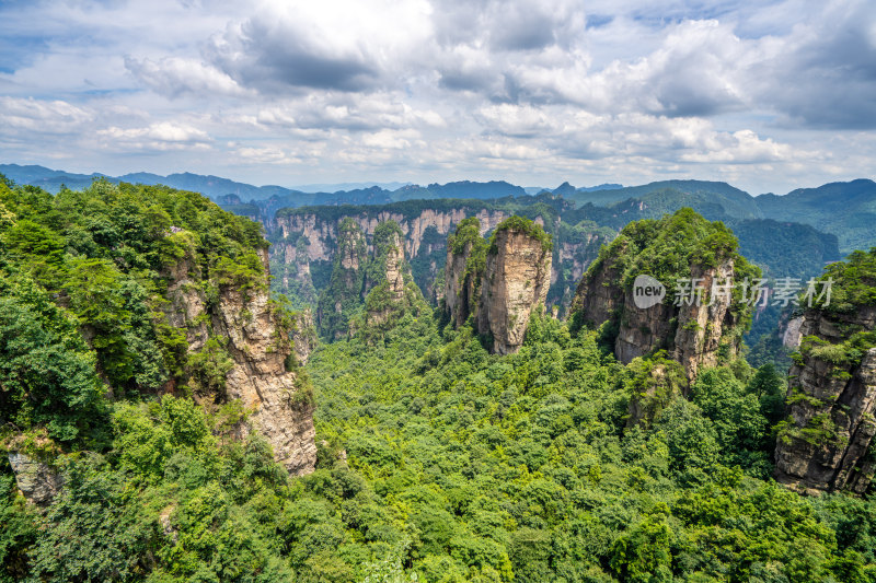 中国湖南张家界景区奇特山峰与茂密森林