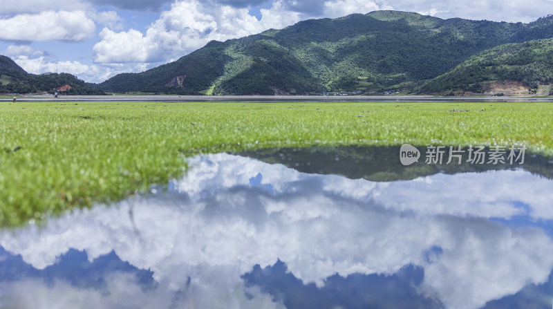 文海丽江风景