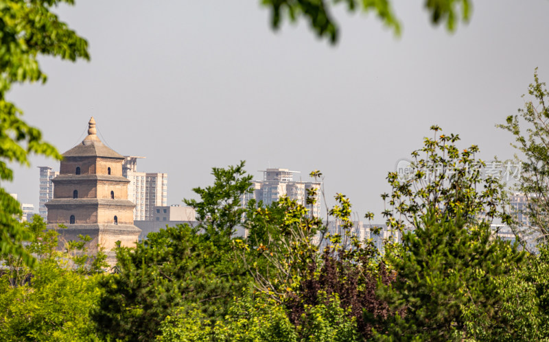 陕西西安大唐芙蓉园看大雁塔建筑景观