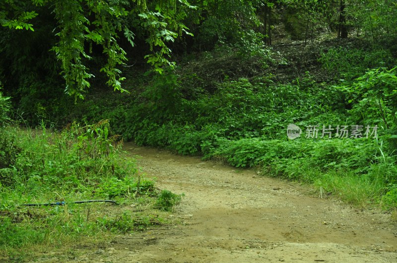 长沙风景，自然风光，长沙城景