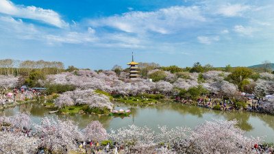 湖北武汉东湖樱花园里的五重塔远景航拍