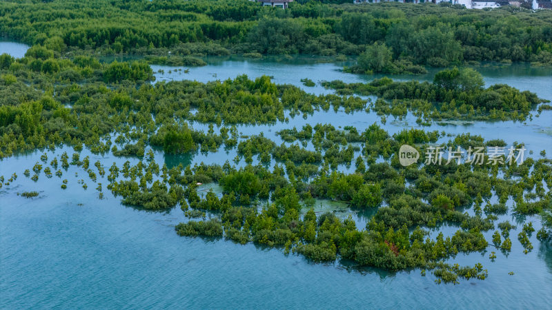 惠东县盐洲海洋湿地公园