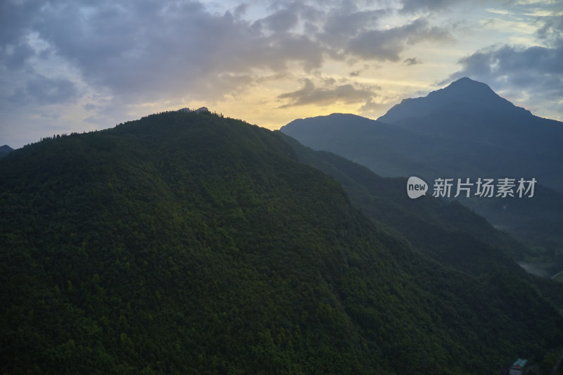 金佛山的清晨