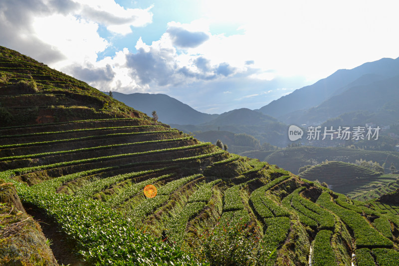 山林间的全景