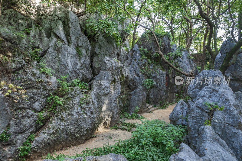 杭州凤凰山景区月岩石灰岩石林