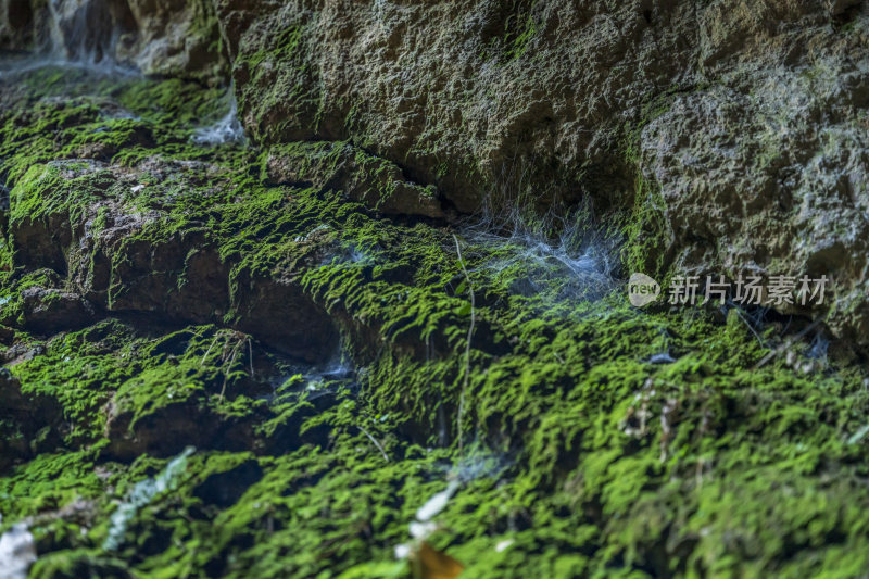 杭州宝石山景区蝙蝠洞