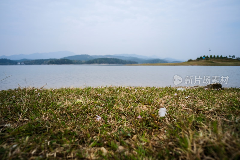 近景草地远景湖泊山峦的自然景观