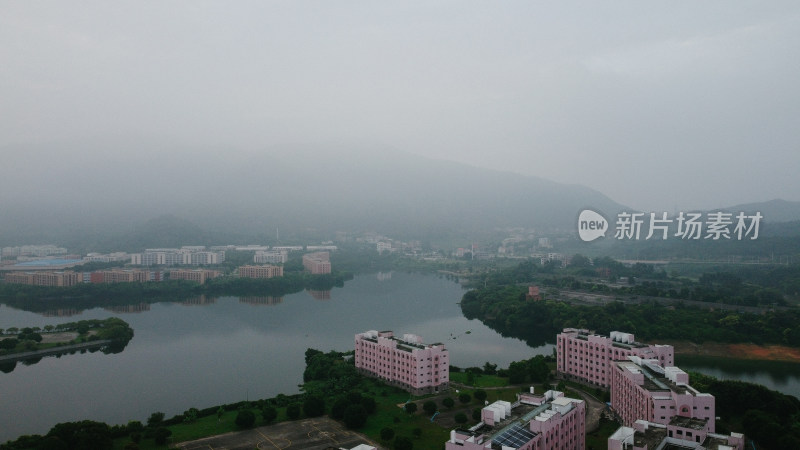 仰恩大学