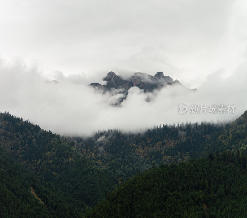 云雾中的森林山峰虎头山