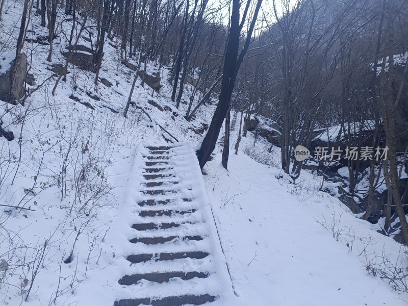 被雪覆盖的山林及栈道景观-老君山雪景