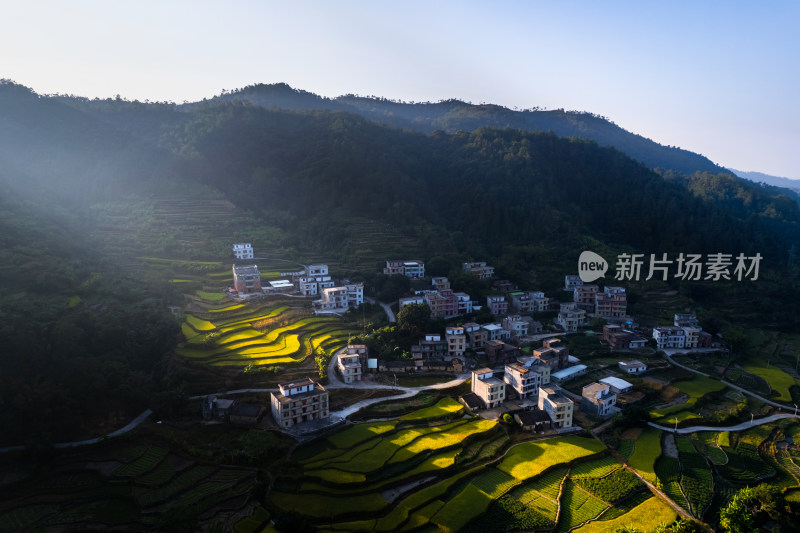 山间梯田村庄美景