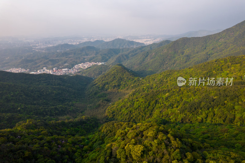 深圳梧桐山航拍图