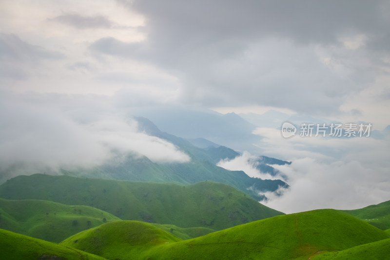 夏天江西武功山的高山草甸