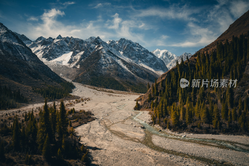 雪山森林风景