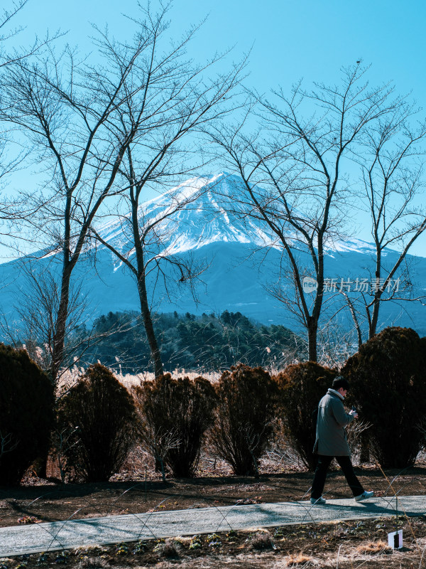 富士山前景中有人在小路上行走