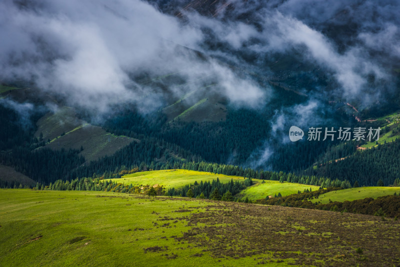 云雾缭绕的高山草原