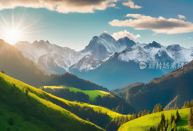 雪山高原草原森林风景