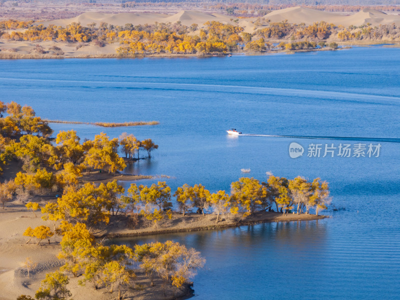 新疆巴州罗布湖塔塔秘境沙漠水上胡杨林航拍