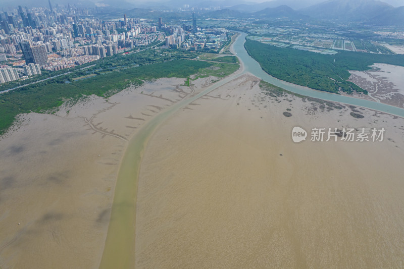 深圳市福田红树林保护区