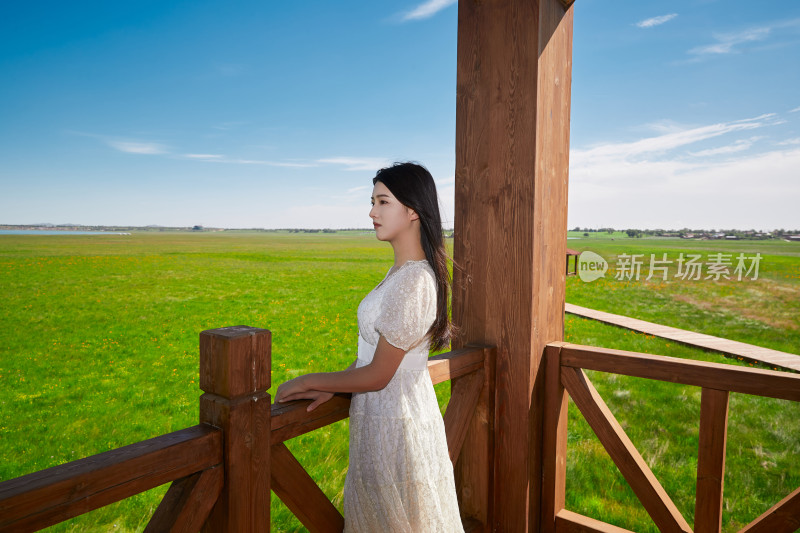 盛夏在草原湿地公园游玩的姑娘