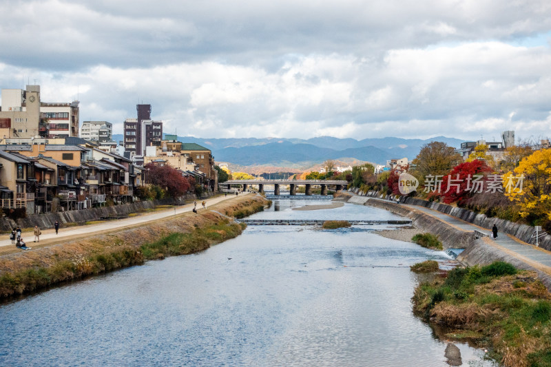 鸭川 河流 川 河