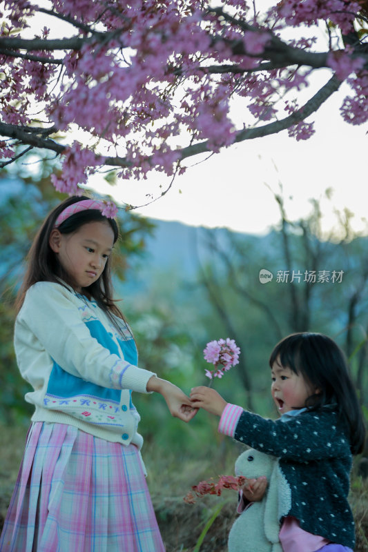 樱花树下的小女孩