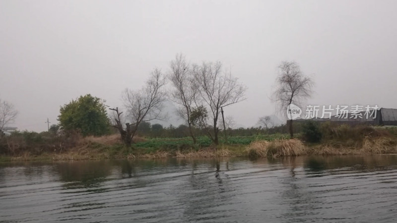 桂林河水池塘自然风景