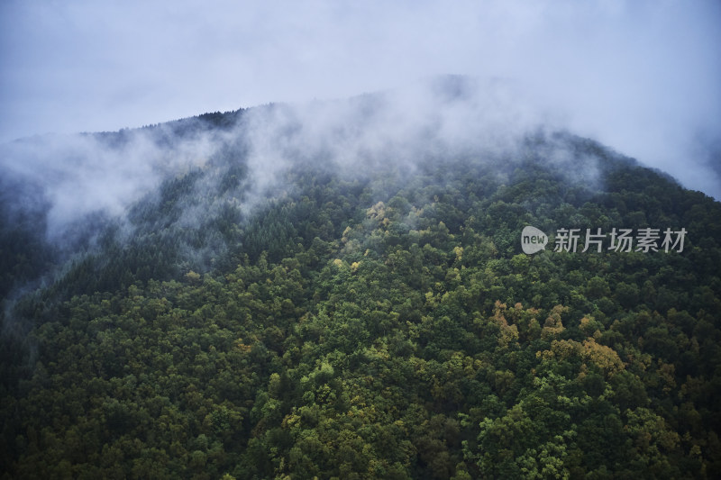 山西长治沁源沁河源头自然美景