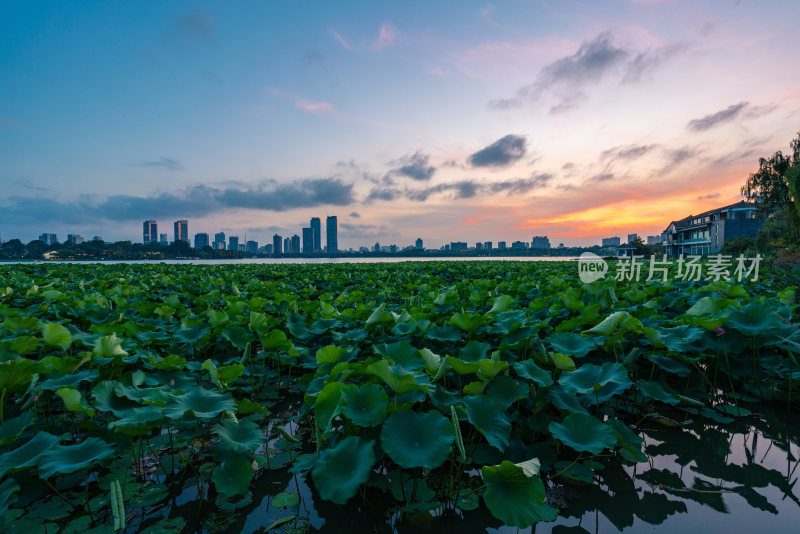 南京玄武湖与城市天际线日落