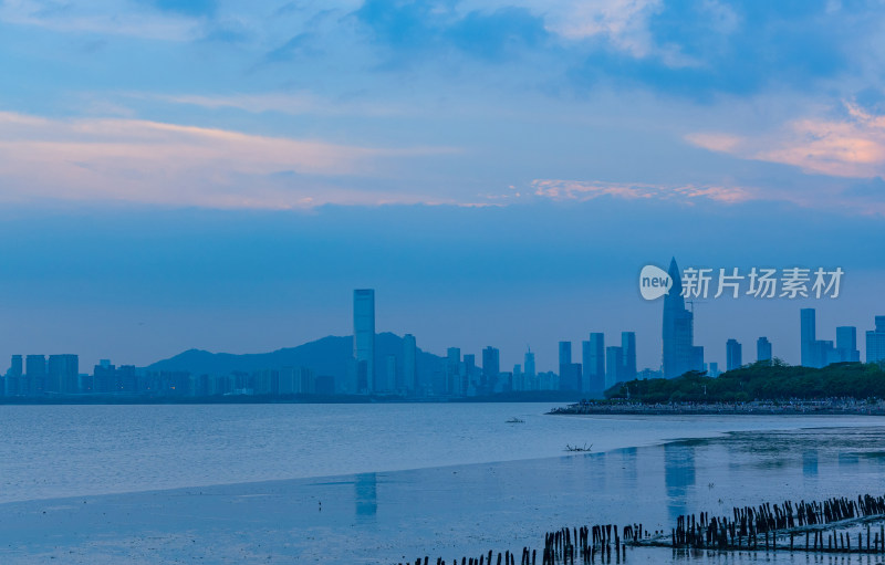 深圳湾公园海景风光与滨海城市建筑