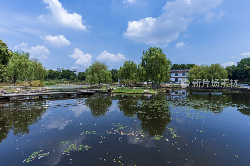 武汉蔡甸汤湖公园生态园林风景