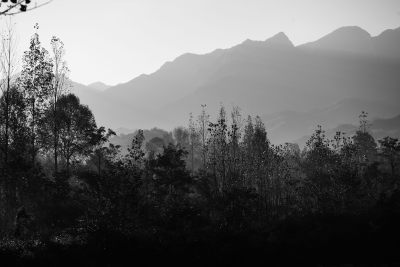 黑白风景