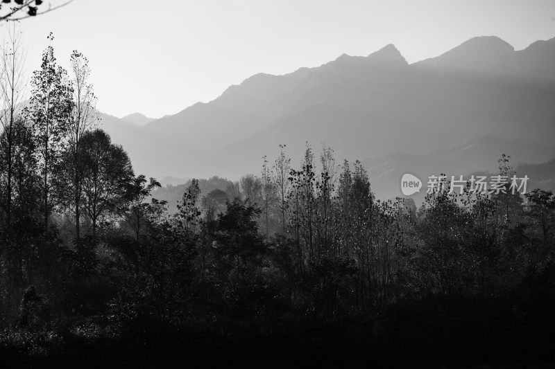 黑白风景