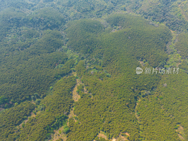 航拍山脉山林