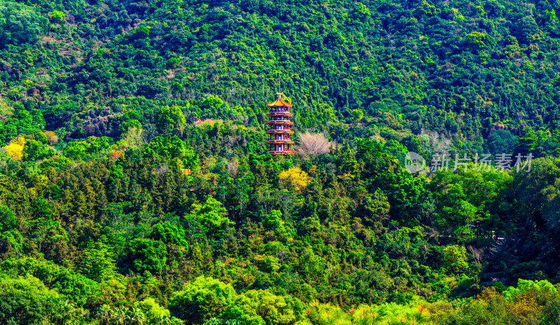深圳仙葫植物园半山森林与弘法寺古建筑