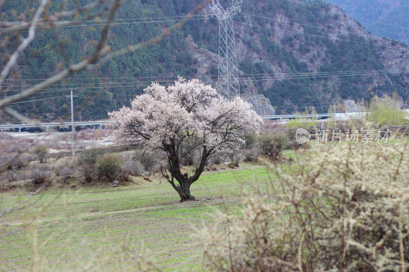 西藏林芝地区G318川藏公路沿途高原风光