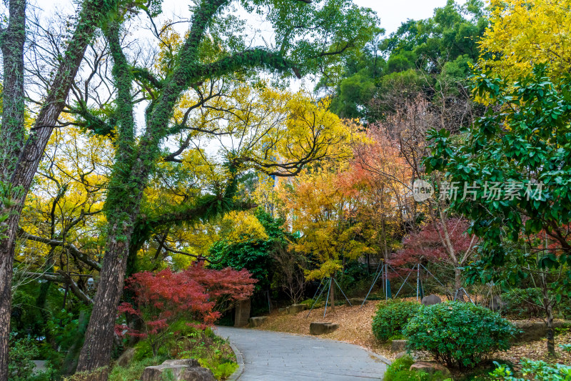 福州乌山历史风貌区秋景