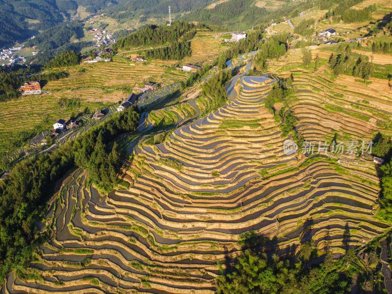 农村梯田风光