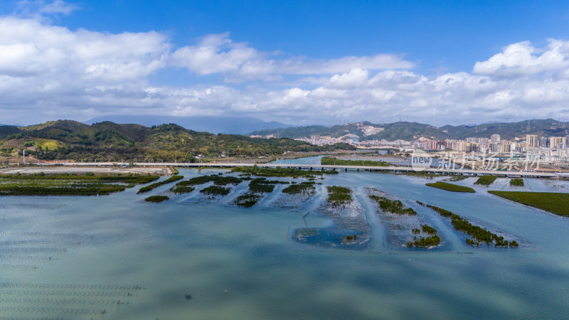 惠州盐洲海洋湿地公园-红树林湿地风光