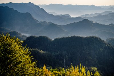 重庆酉阳：三月花海千氹田