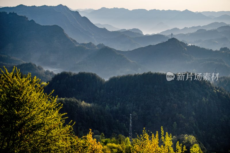 重庆酉阳：三月花海千氹田