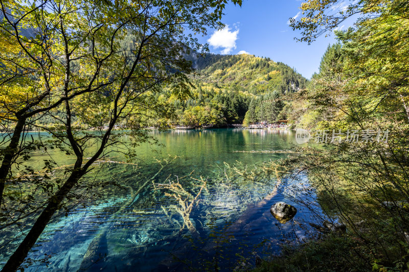 九寨沟五花海