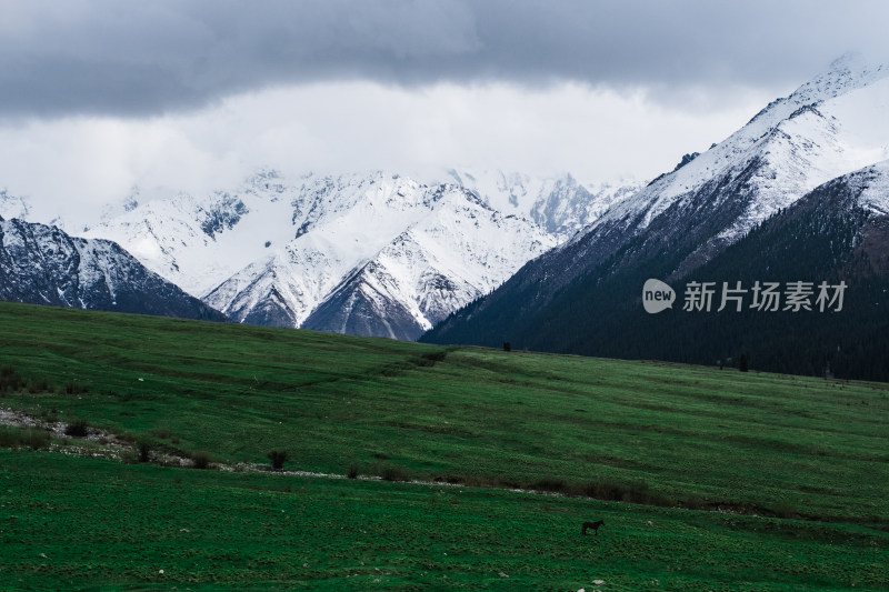 新疆夏塔雪山草原绝美震撼风光